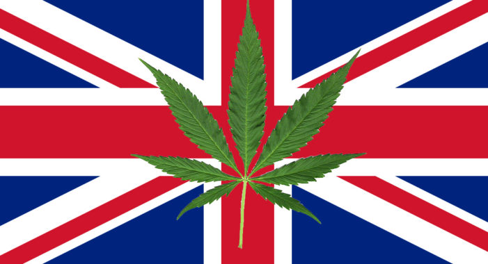 Legalization brings opportunities for the Cannabic Market in United Kingdom