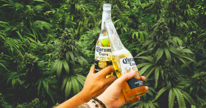 Link between cannabis use in heavy drinkers and reduced risk of alcohol induced pancreatitis.
