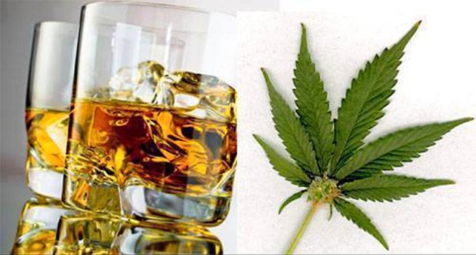 Alcohol-most harmful recreational drug- cannabis the least